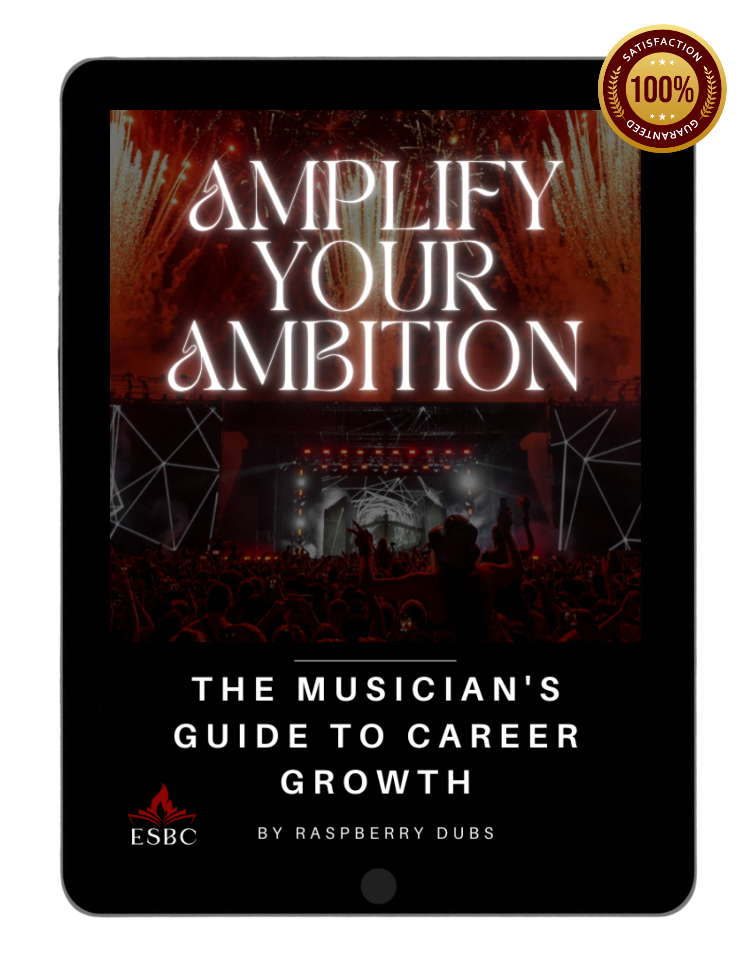 Amplify Your Ambition - The Musician's Guide To Career Growth